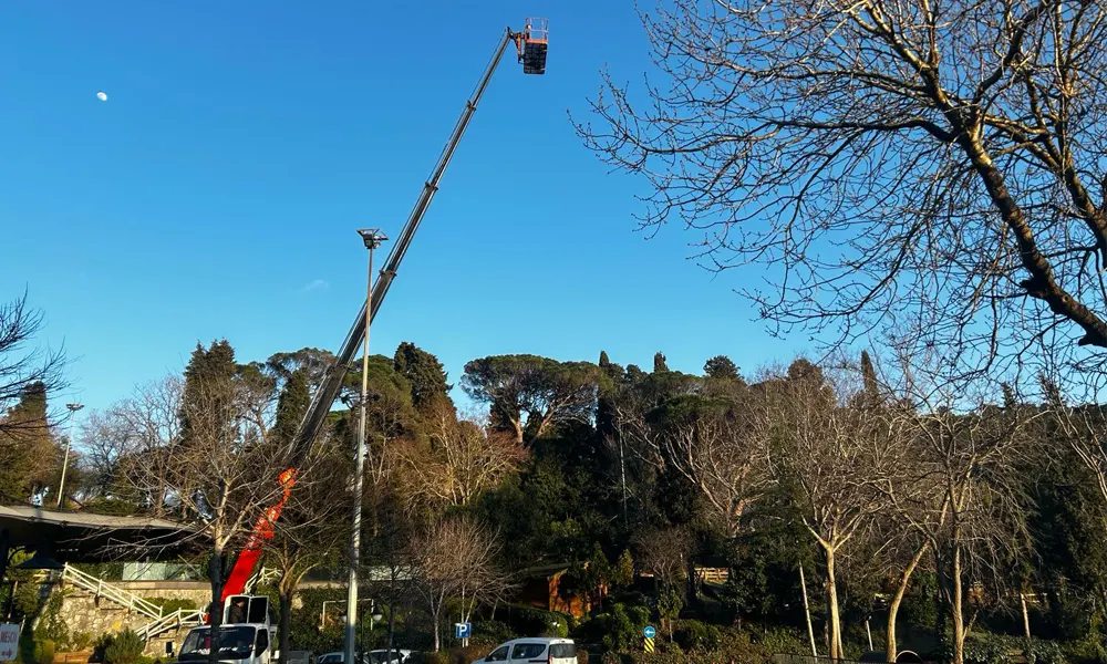 Sinema & Dizi Çekim Sepetli Platform